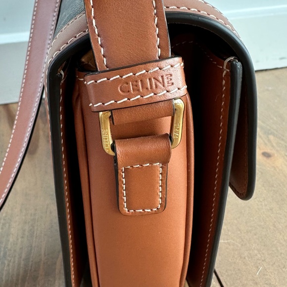 Classique Triomphe bag in Triomphe Canvas and Calfskin - Picture 5 of 14